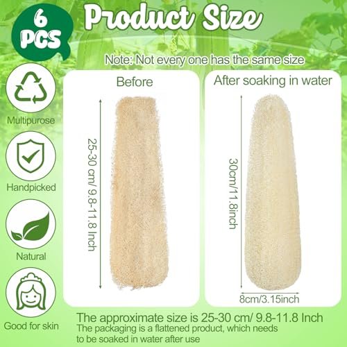 ZhouBoat 11.8 Inches Natural Loofah Sponges Pack of 6 for Kitchen Dishes Body Scrubber Avelisse