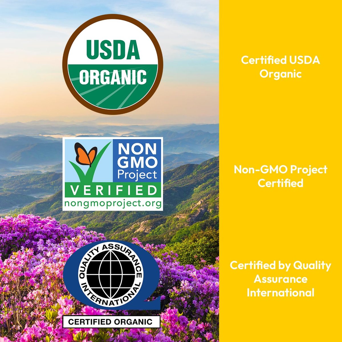 Us Naturals 16oz Organic Castor Oil – USDA Certified Organic & Non-GMO – 100% Pure, Cold-Pressed, Unrefined, Hexane-Free – Premium Oil for Skin, Hair, Lashes & Nails Avelisse