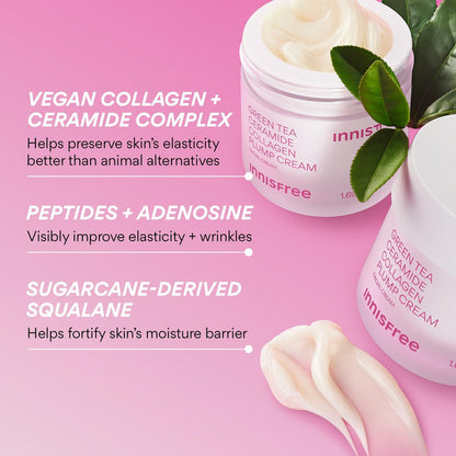 innisfree Green Tea Ceramide Collagen Plump Cream – Korean Face Moisturizer for Youthful Glow Avelisse