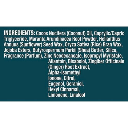 Degree Men Whole Body Deodorant Stick, Ocean Rush Scent, Aluminum Free 72H Odor Protection, 3 oz