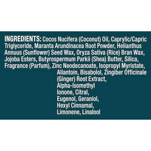Degree Men Whole Body Deodorant Spray, Ocean Rush Scent, Aluminum Free 72H Odor Protection, 4 oz - görsel 9
