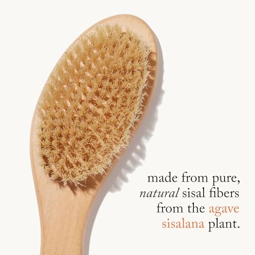 goop Beauty Dry Brush – Detoxifying Body Exfoliator with Wooden Handle & Natural Biodegradable Sisal Fibers (FSC Certified) Avelisse
