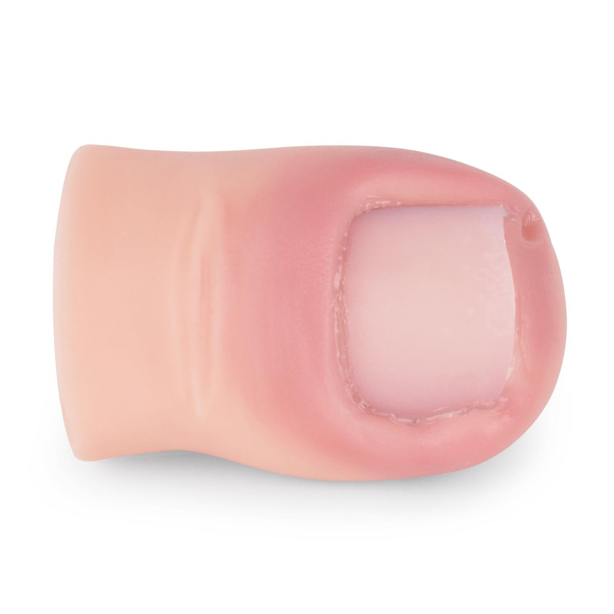 MedEduQuest Ingrown Toenail Trainer - Realistic Wound Care Training Model for Medical Education - görsel 5