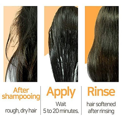Elizavecca Cer-100 Collagen Ceramide Coating Protein Treatment – Deep Conditioner for Dry, Damaged Hair (3.38 fl oz)