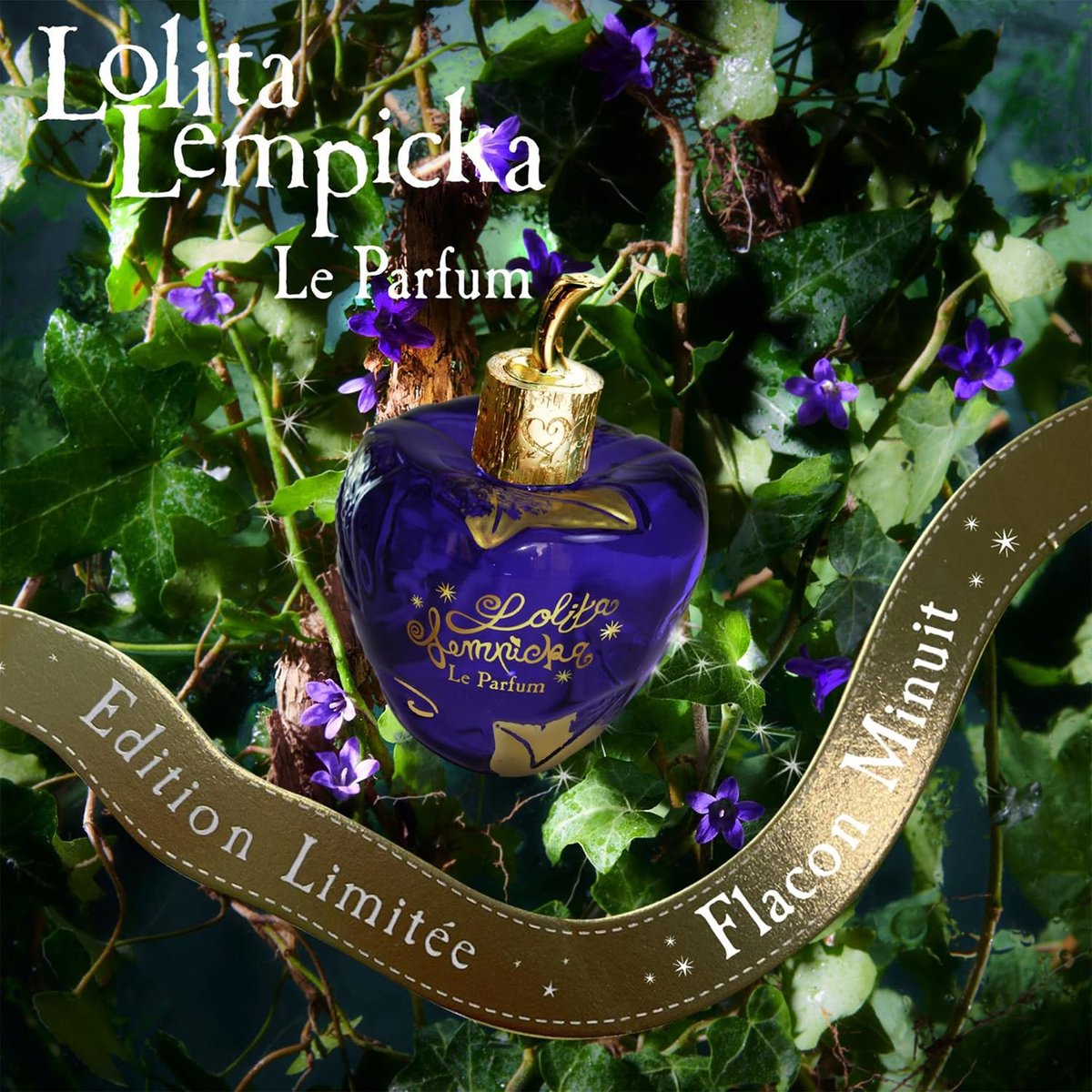 Lolita Lempicka Le Parfum Eau De Parfum Spray for Women – Limited Edition Midnight Purple Tinted, Gold Accented Bottle – Notes of Licorice, Violet, & Anise – 3.4 Oz - görsel 5