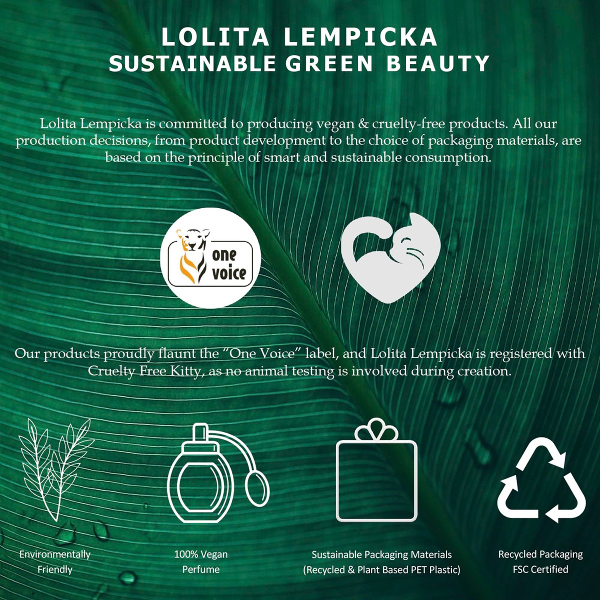 Lolita Lempicka Le Parfum Eau De Parfum Spray for Women – Limited Edition Midnight Purple Tinted, Gold Accented Bottle – Notes of Licorice, Violet, & Anise – 3.4 Oz - görsel 11