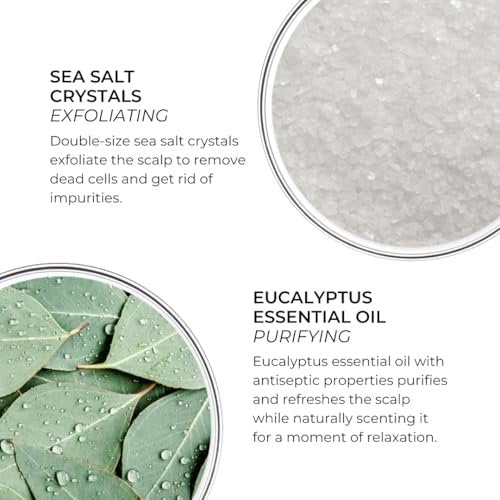 PHYTO Scalp Solutions Purifying Scrub - Exfoliating Sea Salt & Eucalyptus Deep Cleanse - Removes Buildup, Silicone & Sulfate-Free - For Oily Scalp - 7.05 oz - görsel 4