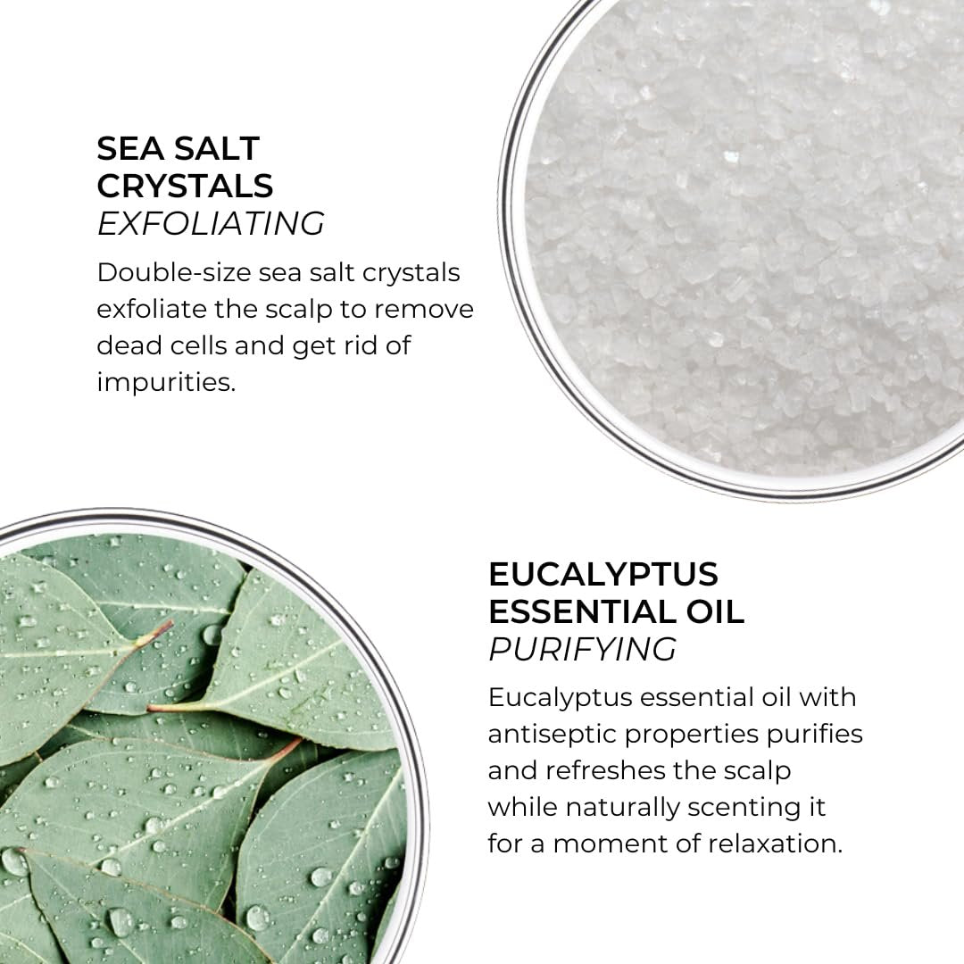 PHYTO Scalp Solutions Purifying Scrub - Exfoliating Sea Salt & Eucalyptus Deep Cleanse - Removes Buildup, Silicone & Sulfate-Free - For Oily Scalp - 7.05 oz - görsel 3