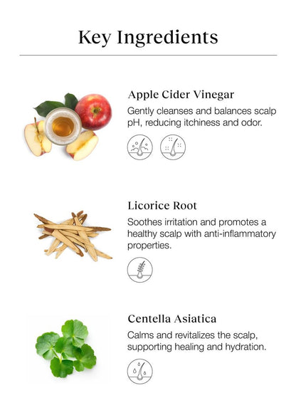 Bephor Scalp Cleansing Toner with Apple Cider Vinegar for Braiding Hair - No-Rinse Moisturizing Scalp Exfoliator, 6.76 Fl Oz Avelisse