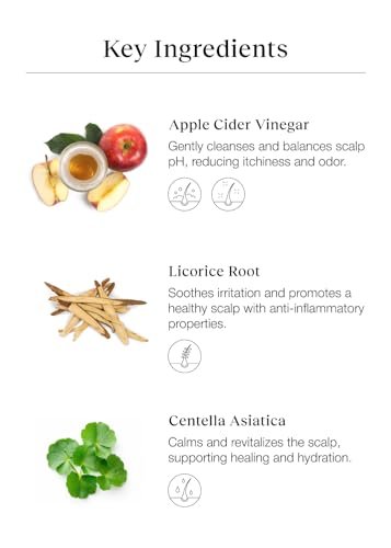 Bephor Scalp Cleansing Toner with Apple Cider Vinegar for Braiding Hair - No-Rinse Moisturizing Scalp Exfoliator, 6.76 Fl Oz Avelisse
