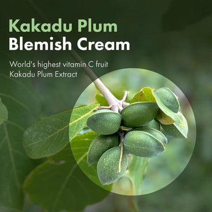 TOSOWOONG Kakadu Plum Blemish Cream – Dark Spot Remover & Brightening Face Cream with 600,000ppm Kakadu Plum Extract, Niacinamide & Adenosine – Korean Skin Care, 1.76 oz