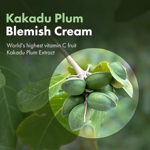 TOSOWOONG Kakadu Plum Blemish Cream – Dark Spot Remover & Brightening Face Cream with 600,000ppm Kakadu Plum Extract, Niacinamide & Adenosine – Korean Skin Care, 1.76 oz - görsel 8