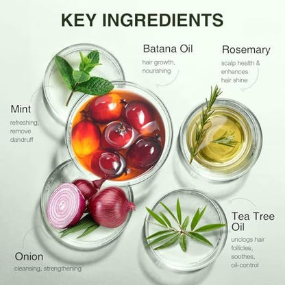 Batana Oil Hair Growth Shampoo - Strengthening Regrowth Shampoo for Men & Women with Thinning Hair & Hair Loss, Infused with Rosemary & Mint Oil, Nourishes Scalp, Sulfate Free, 10.15 fl oz Avelisse