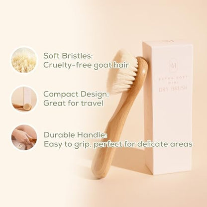 CSM Lymphatic Contour Face Brush - Extra Soft Goat Hair Bristles for Facial Lymphatic Drainage, Sensitive Skin, Mini Dry Brush (Brown) Avelisse