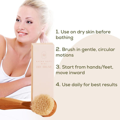 CSM Lymphatic Contour Face Brush - Extra Soft Goat Hair Bristles for Facial Lymphatic Drainage, Sensitive Skin, Mini Dry Brush (Brown) Avelisse