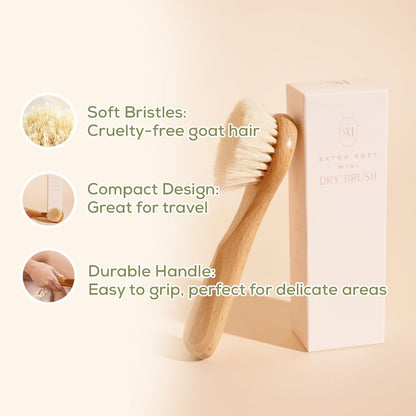 CSM Lymphatic Contour Face Brush - Extra Soft Goat Hair Bristles for Facial Lymphatic Drainage, Sensitive Skin, Mini Dry Brush (Brown) Avelisse