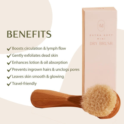 CSM Lymphatic Contour Face Brush - Extra Soft Goat Hair Bristles for Facial Lymphatic Drainage, Sensitive Skin, Mini Dry Brush (Brown) Avelisse