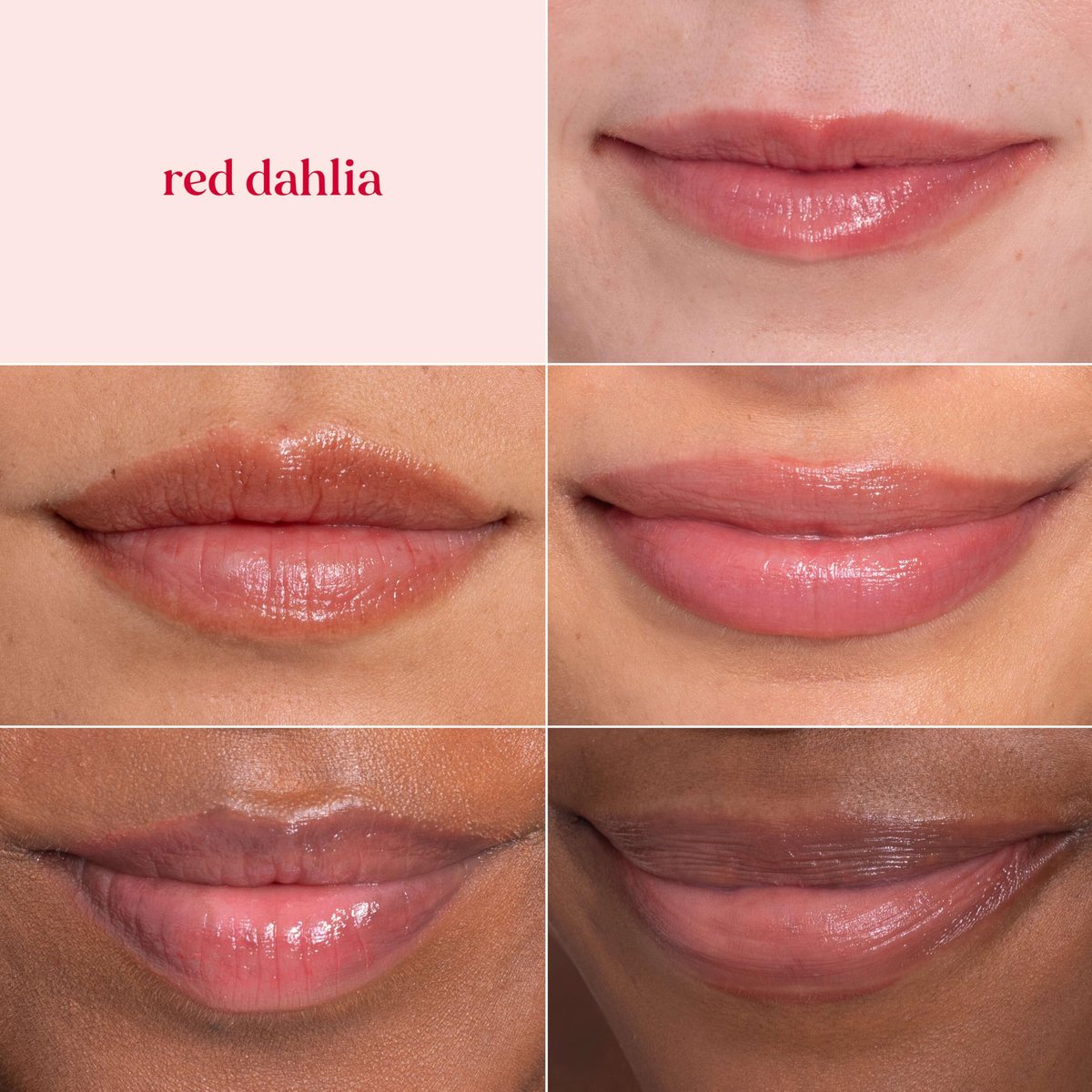 Burt's Bees Lip Tint Balm, Red Dahlia - Long Lasting 2 in 1 Tinted Lip Balm with Shea Butter for Natural Buildable Color - görsel 9