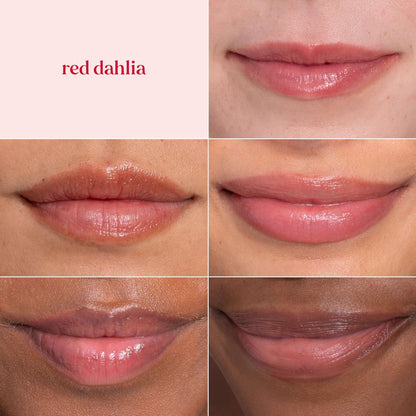 Burt's Bees Lip Tint Balm, Red Dahlia - Long Lasting 2 in 1 Tinted Lip Balm with Shea Butter for Natural Buildable Color