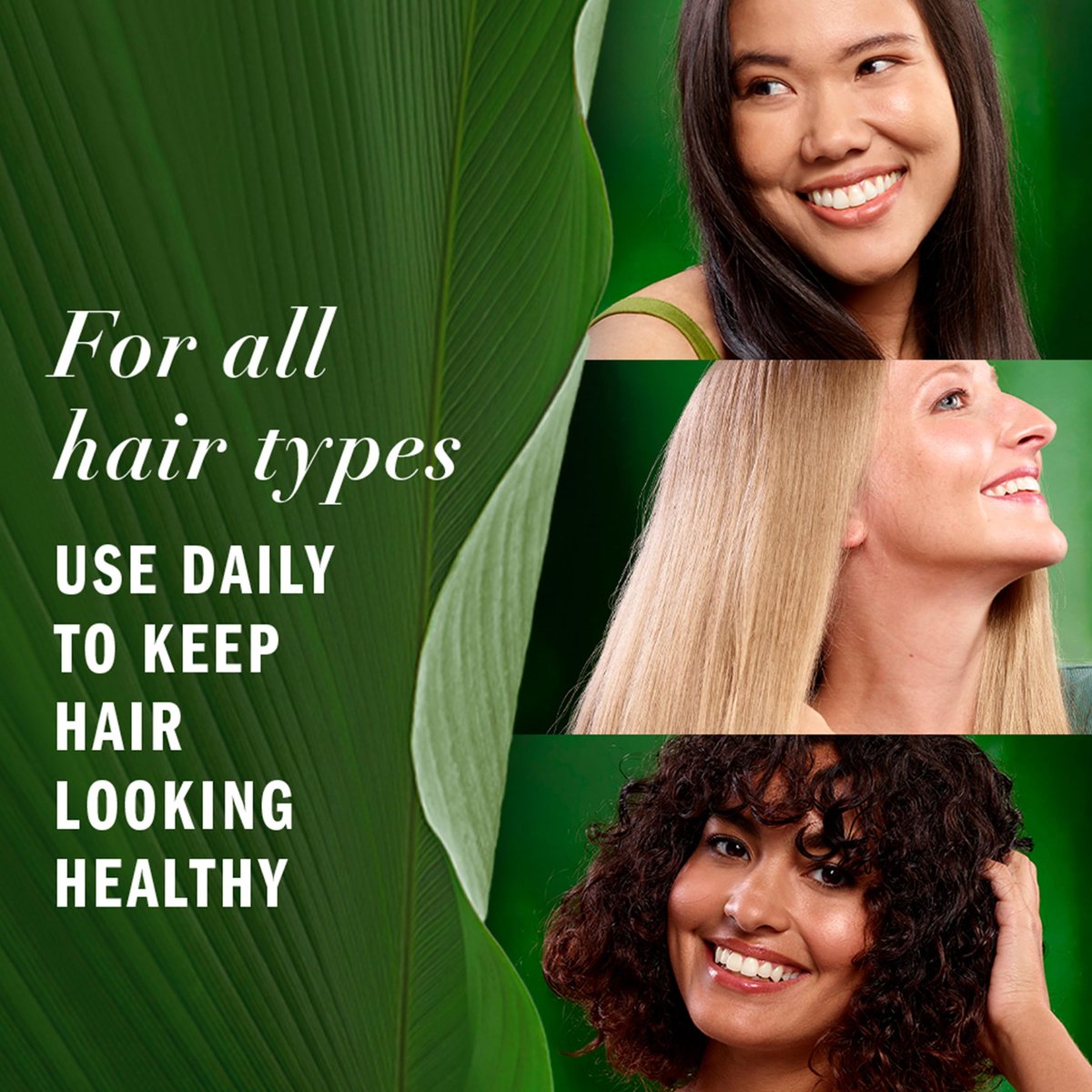 Herbal Essences Lightweight Hair Oil with Aloe and Camellia Flower Oil, 3.2 fl oz - görsel 13