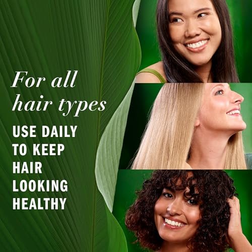 Herbal Essences Lightweight Hair Oil with Aloe and Camellia Flower Oil, 3.2 fl oz - görsel 14