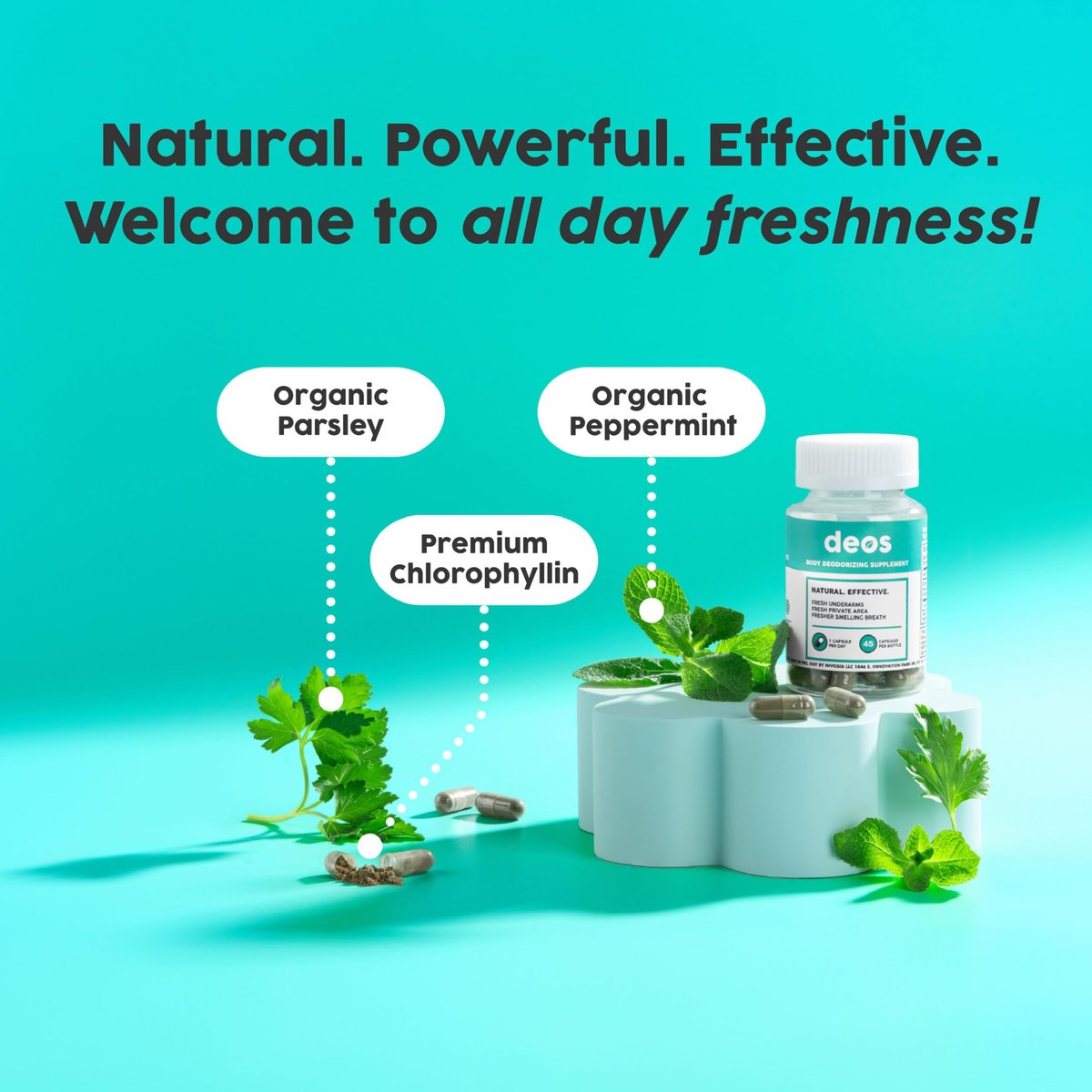 DEOS Internal Deodorant Supplement – Full Body Deodorizer for Gut Health, Skin Health, Detox & Digestion Support – Natural Odor Control Chlorophyll Pills | 30 Capsules Avelisse