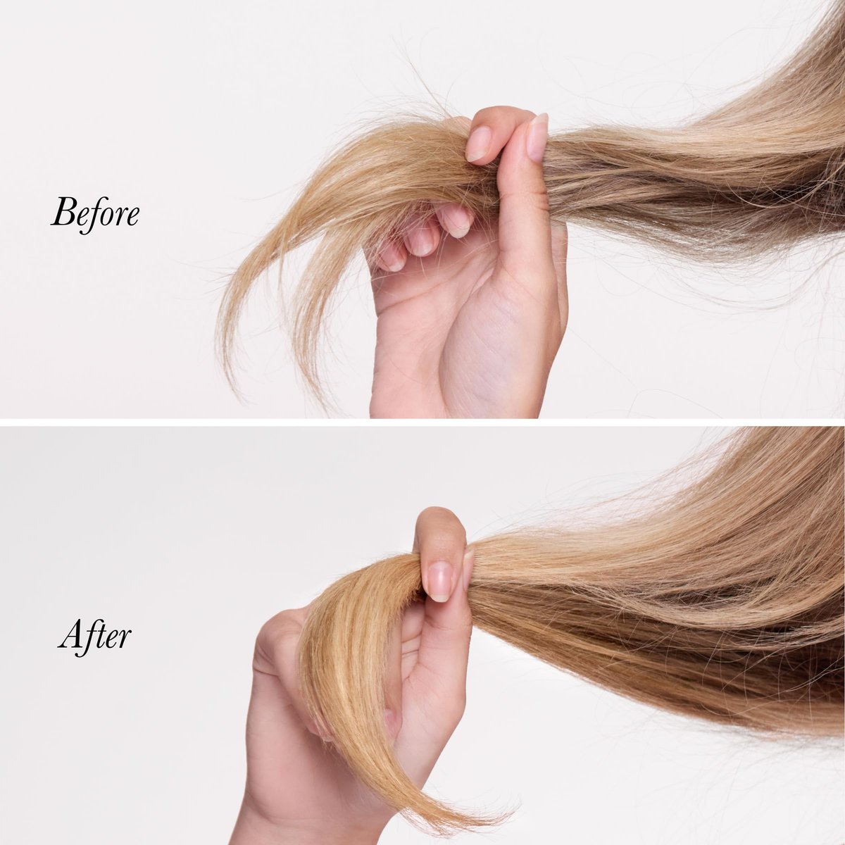 L'ANGE HAIR Backtogether Split End Sealer - Leave-In Conditioner for Breakage Repair & Frizz Control, Hydrating Lightweight Split Ends Treatment, 1.7 oz Avelisse