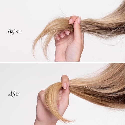 L'ANGE HAIR Backtogether Split End Sealer - Leave-In Conditioner for Breakage Repair & Frizz Control, Hydrating Lightweight Split Ends Treatment, 1.7 oz Avelisse
