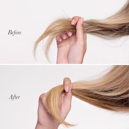 L'ANGE HAIR Backtogether Split End Sealer - Leave-In Conditioner for Breakage Repair & Frizz Control, Hydrating Lightweight Split Ends Treatment, 1.7 oz Avelisse