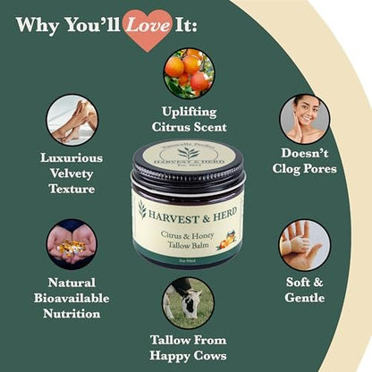 Harvest & Herd Citrus & Honey Tallow Balm - Organic Skin Nutrition with Olive Oil, Raw Manuka Honey, Beeswax, Royal Jelly and Signature Essential Oil Blend (2oz 60ml) Avelisse