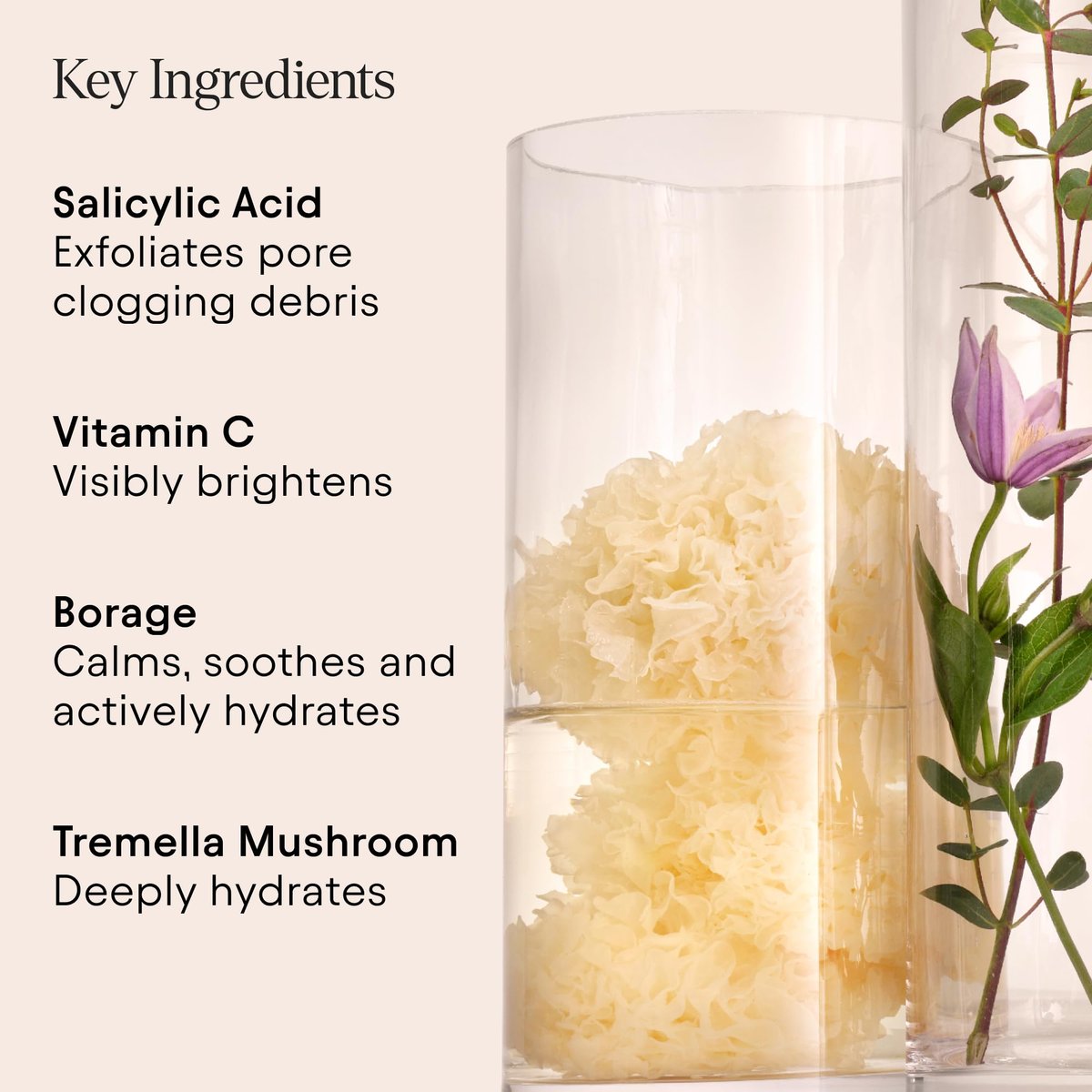 Alpyn Beauty Pore Perfecting Liquid Toner with 2% BHA & Borage – Minimize Pores, Calm & Restore pH (4 oz / 120 ml) Avelisse