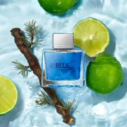 Antonio Banderas Blue Seduction for Men Eau de Toilette Spray, 6.7 oz Avelisse