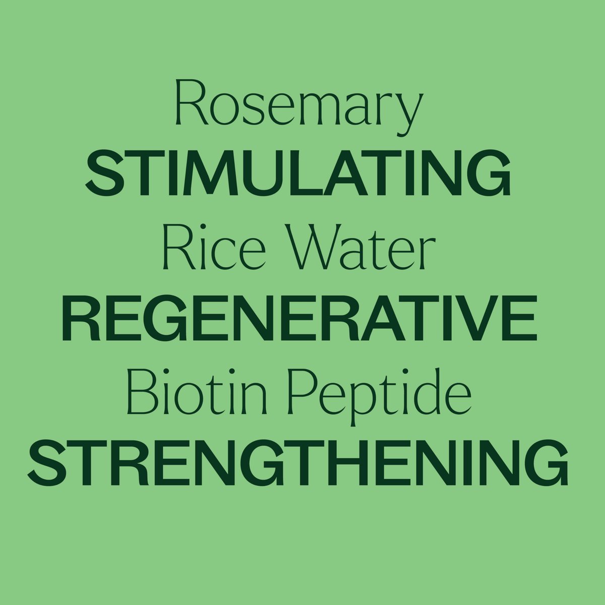 Plant Therapy Rosemary & Rice Water Spray 4 oz – Daily Hair Growth Spray for Natural Hair, Boosts Strength & Elasticity, Adds Volume & Shine Avelisse