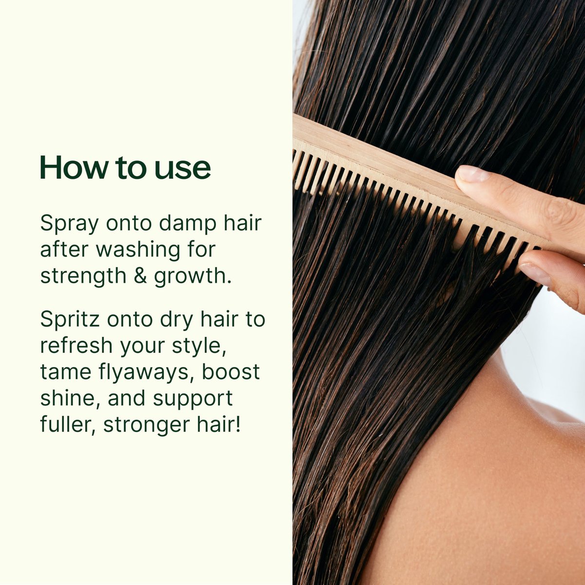 Plant Therapy Rosemary & Rice Water Spray 4 oz – Daily Hair Growth Spray for Natural Hair, Boosts Strength & Elasticity, Adds Volume & Shine Avelisse