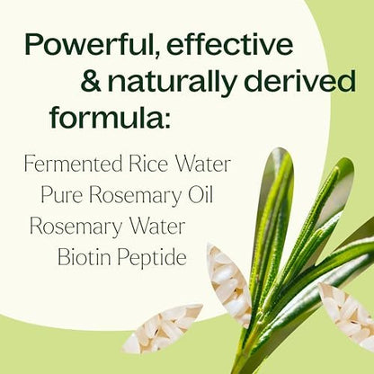 Plant Therapy Rosemary & Rice Water Spray 4 oz – Daily Hair Growth Spray for Natural Hair, Boosts Strength & Elasticity, Adds Volume & Shine Avelisse