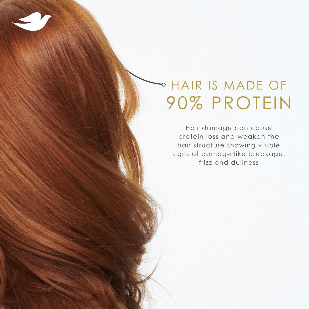 Dove Volume & Fullness Conditioner for Fine, Thin Hair with Biotin & Bio-Protein Care Technology, 28 Fl Oz - görsel 15