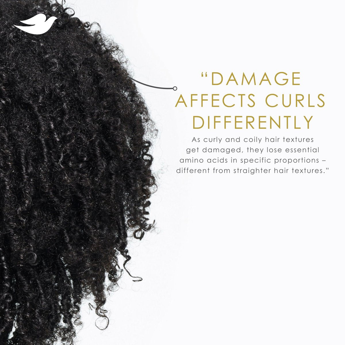 Dove Amino Curl Curl Cream for Curly & Coily Hair - 8 Fl Oz - görsel 9
