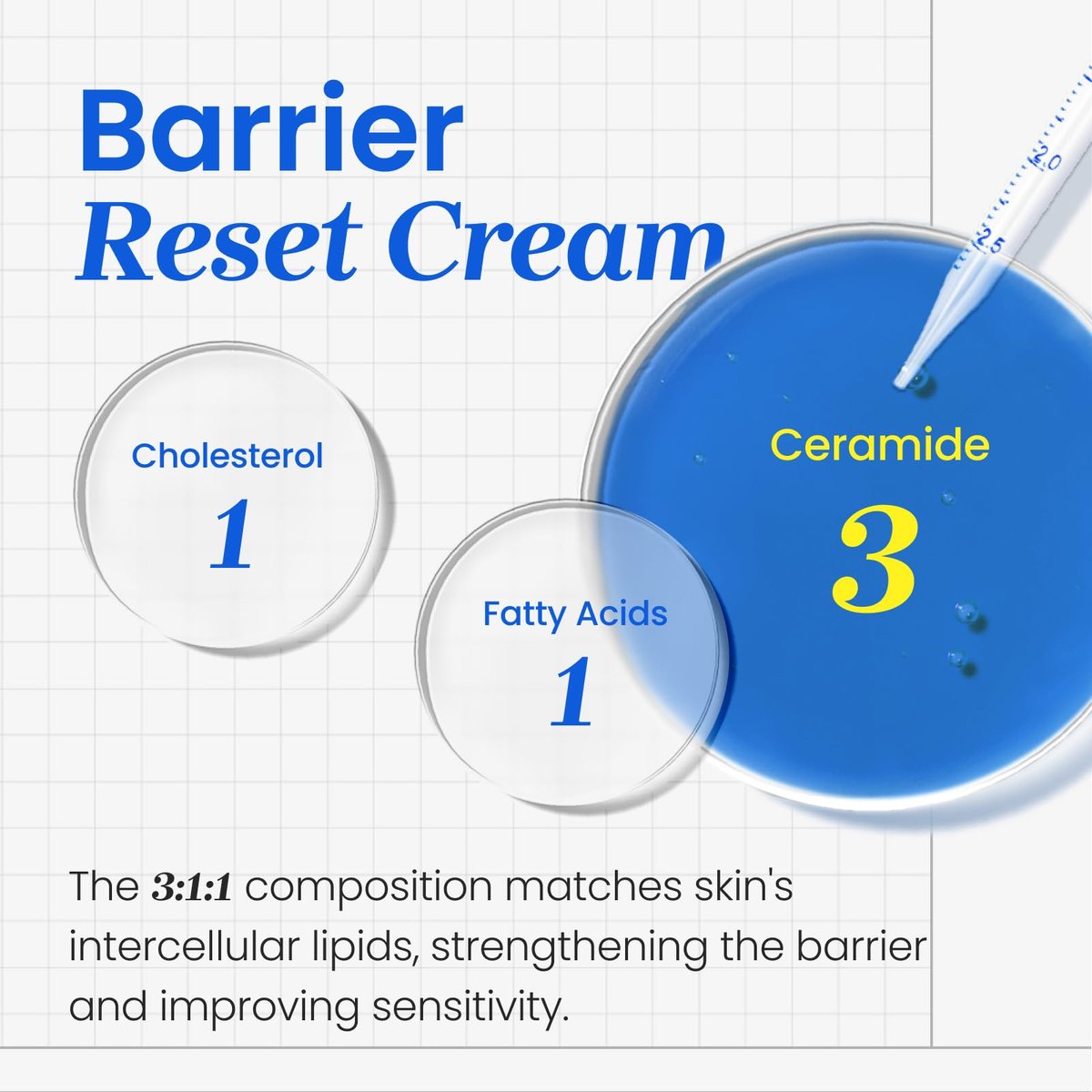 CNP Barrier Reset Cream – Deep Hydration & Barrier Strengthening with Ceramide for Dry & Sensitive Skin | Korean Skincare (2.7 fl oz) Avelisse