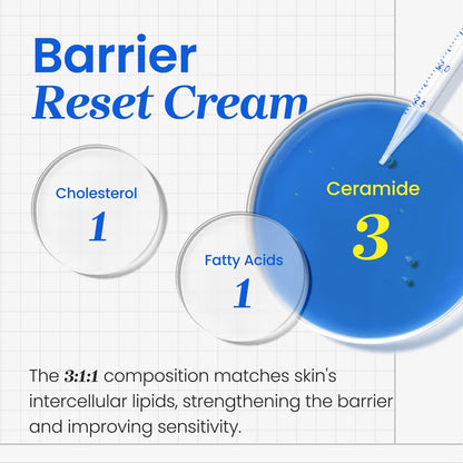 CNP Barrier Reset Cream – Deep Hydration & Barrier Strengthening with Ceramide for Dry & Sensitive Skin | Korean Skincare (2.7 fl oz) Avelisse