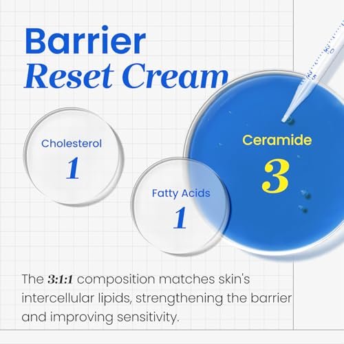 CNP Barrier Reset Cream – Deep Hydration & Barrier Strengthening with Ceramide for Dry & Sensitive Skin | Korean Skincare (2.7 fl oz) Avelisse