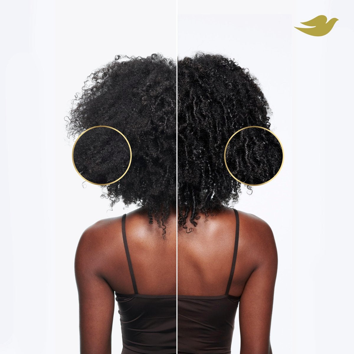 Dove Amino Curl Regimen Pack: Shampoo, Conditioner & Hair Mask for Curly, Coily Hair with Bio-Protein Care Technology & Jojoba Oil (4 Piece Set) Avelisse