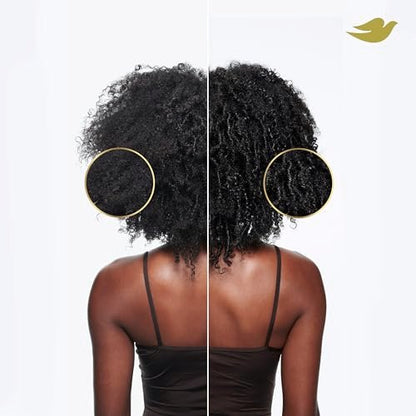 Dove Amino Curl Regimen Pack: Shampoo, Conditioner & Hair Mask for Curly, Coily Hair with Bio-Protein Care Technology & Jojoba Oil (4 Piece Set) Avelisse