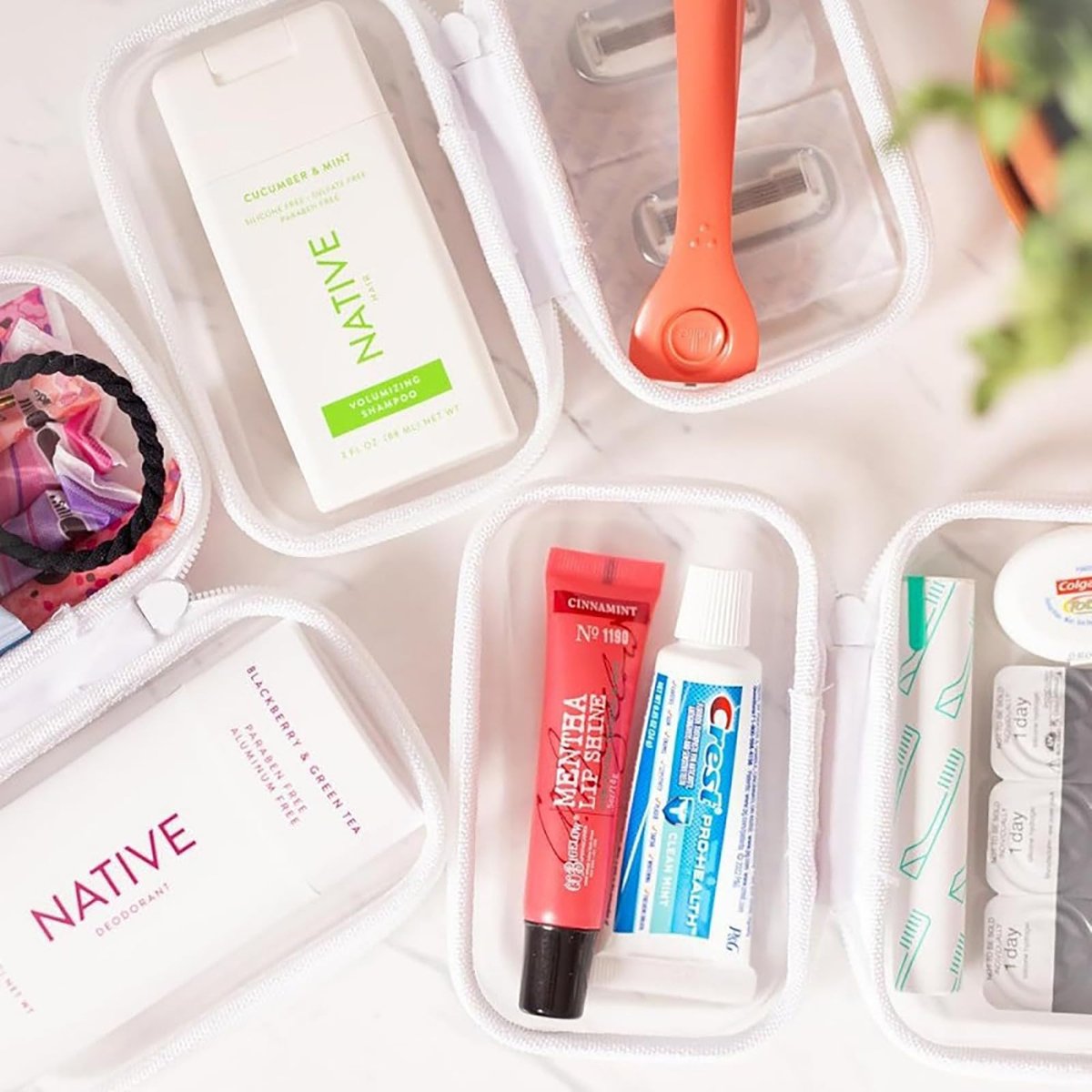NovaHF 2PC Small Clear Hard Shell Plastic Zipper Case - Double Zippers, Perfect for Snacks, Makeup Tools, and Toiletries Avelisse