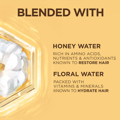 Garnier Whole Blends Honey Water Moisture Restoring Conditioner for Dry Hair & Scalp, 26.6 Fl Oz