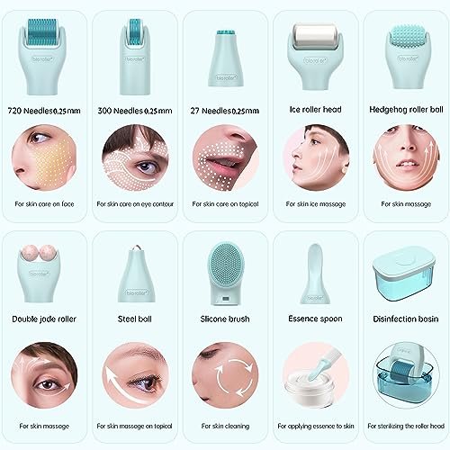 Gdbanlimi 10 in 1 Derma Roller Kit – 0.25mm Microneedling Roller with 10 Replaceable Heads and Storage Case for Facial Beauty Skin Care Avelisse