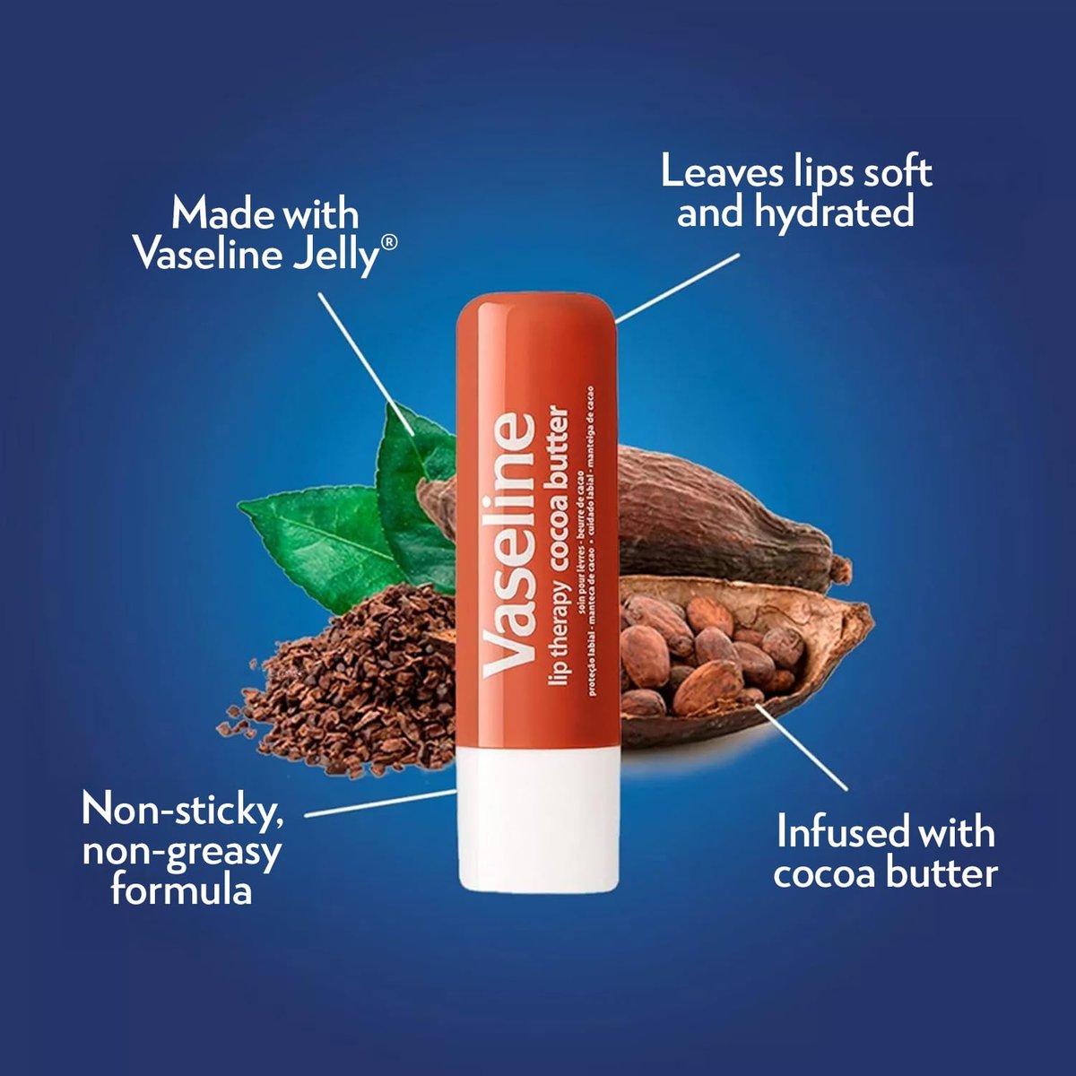 Vaseline Lip Therapy Cocoa Butter Lip Balm, 6 Pack, 0.16 oz Each Avelisse