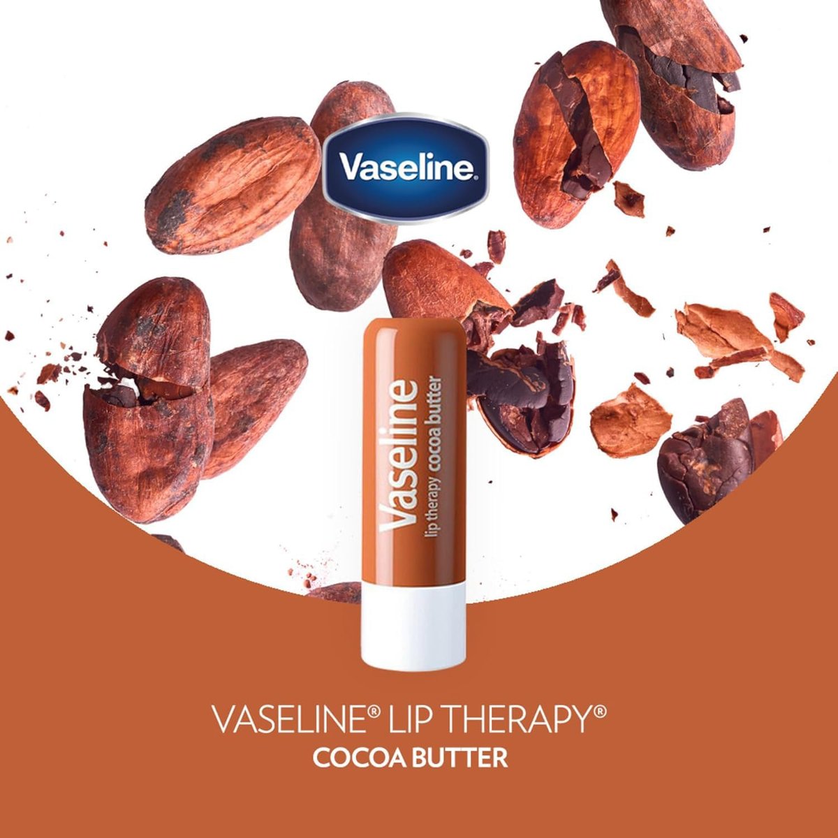 Vaseline Lip Therapy Cocoa Butter Lip Balm, 6 Pack, 0.16 oz Each Avelisse