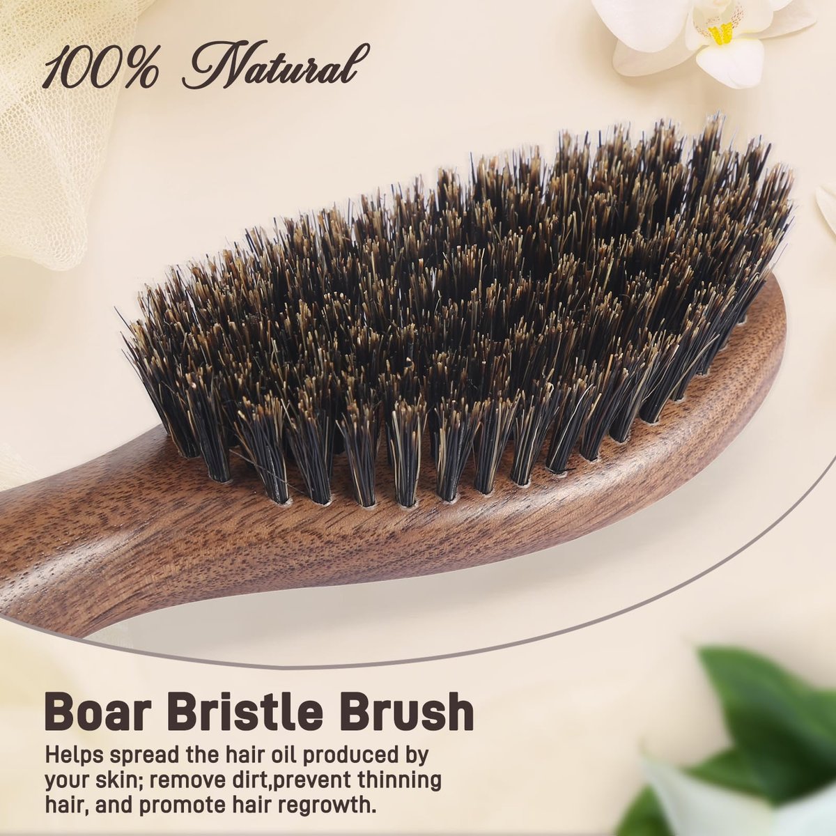 BESTOOL Natural Walnut Wood & Boar Bristle Hair Brush for Women, Men & Kids – Enhance Shine & Texture, Slick Back Hairbrush for Thin, Fine & Medium Hair Avelisse