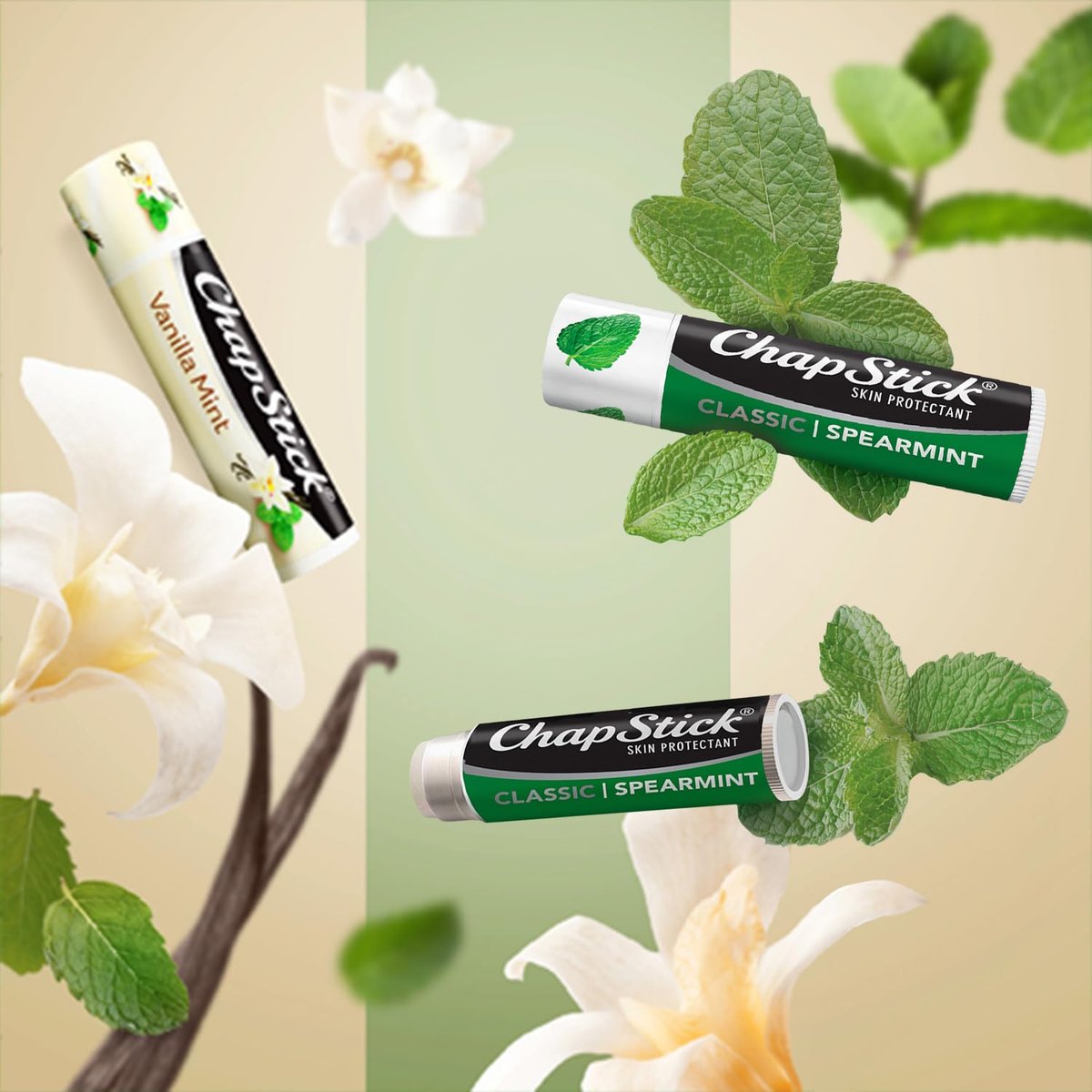 ChapStick Lip Balm Mint Favorites 5-Pack: Vanilla Mint, Minty Delight, Peppermint & 2 Classic Spearmint - görsel 7