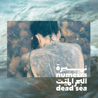 Numeira Dead Sea Mud Mask for Face & Body with Trace Minerals - Pore Reducer, Acne Treatment, Hydrating Facial Mask - Harvested from Jordan